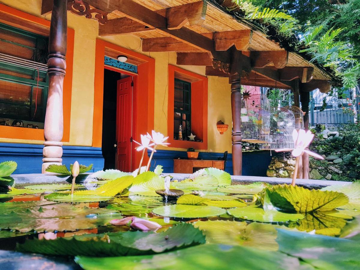 Casa Hotel Mare Nostrvm Manuel Antonio Dış mekan fotoğraf