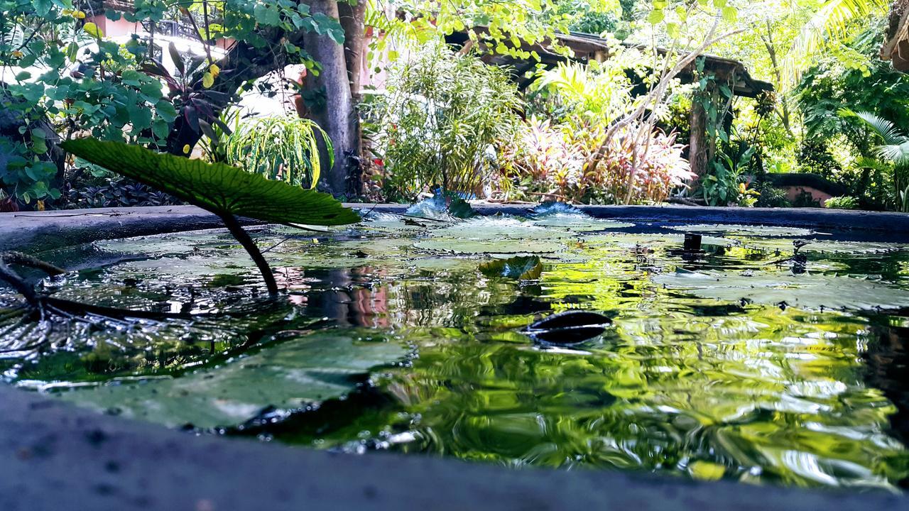 Casa Hotel Mare Nostrvm Manuel Antonio Dış mekan fotoğraf