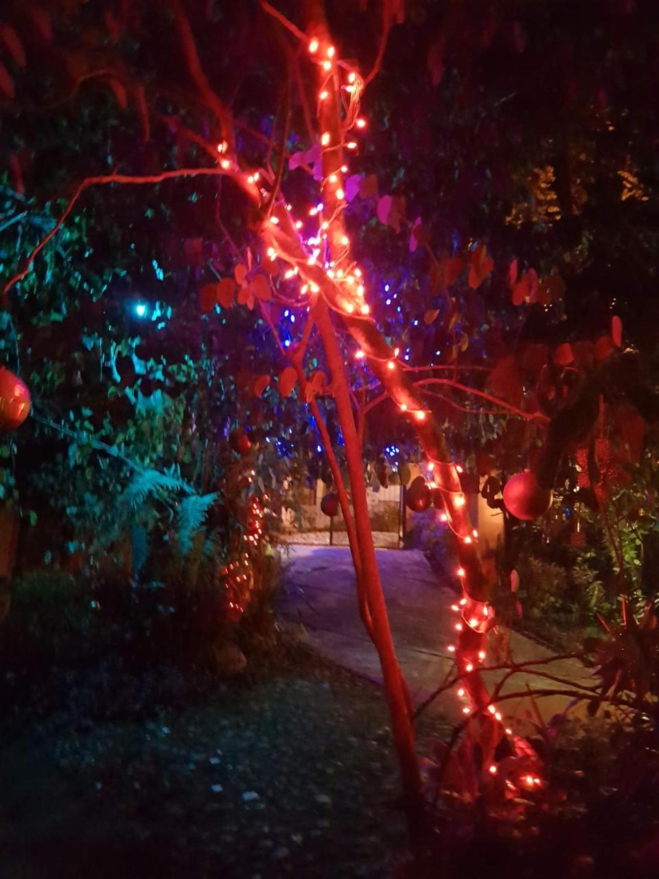 Casa Hotel Mare Nostrvm Manuel Antonio Dış mekan fotoğraf