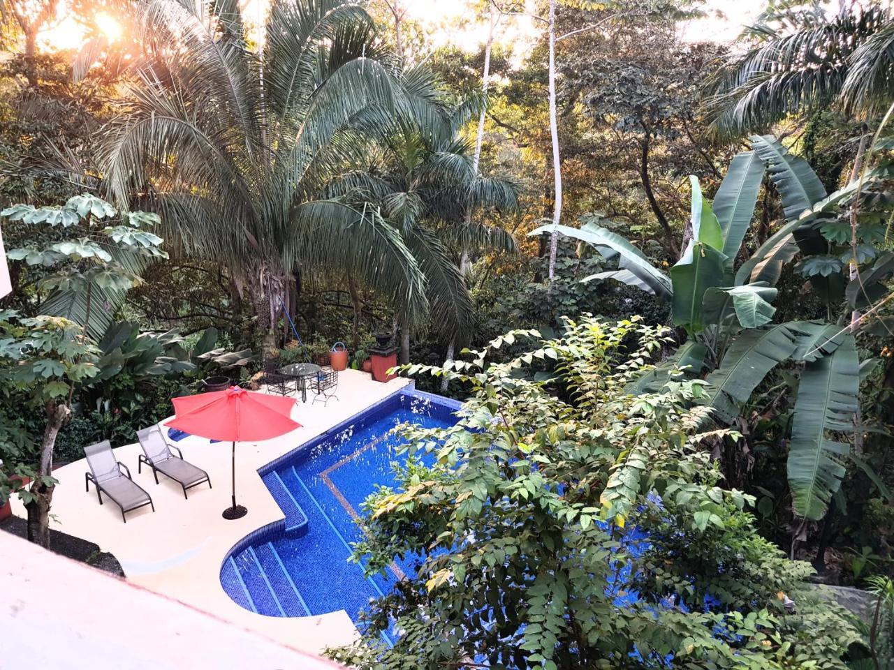 Casa Hotel Mare Nostrvm Manuel Antonio Dış mekan fotoğraf