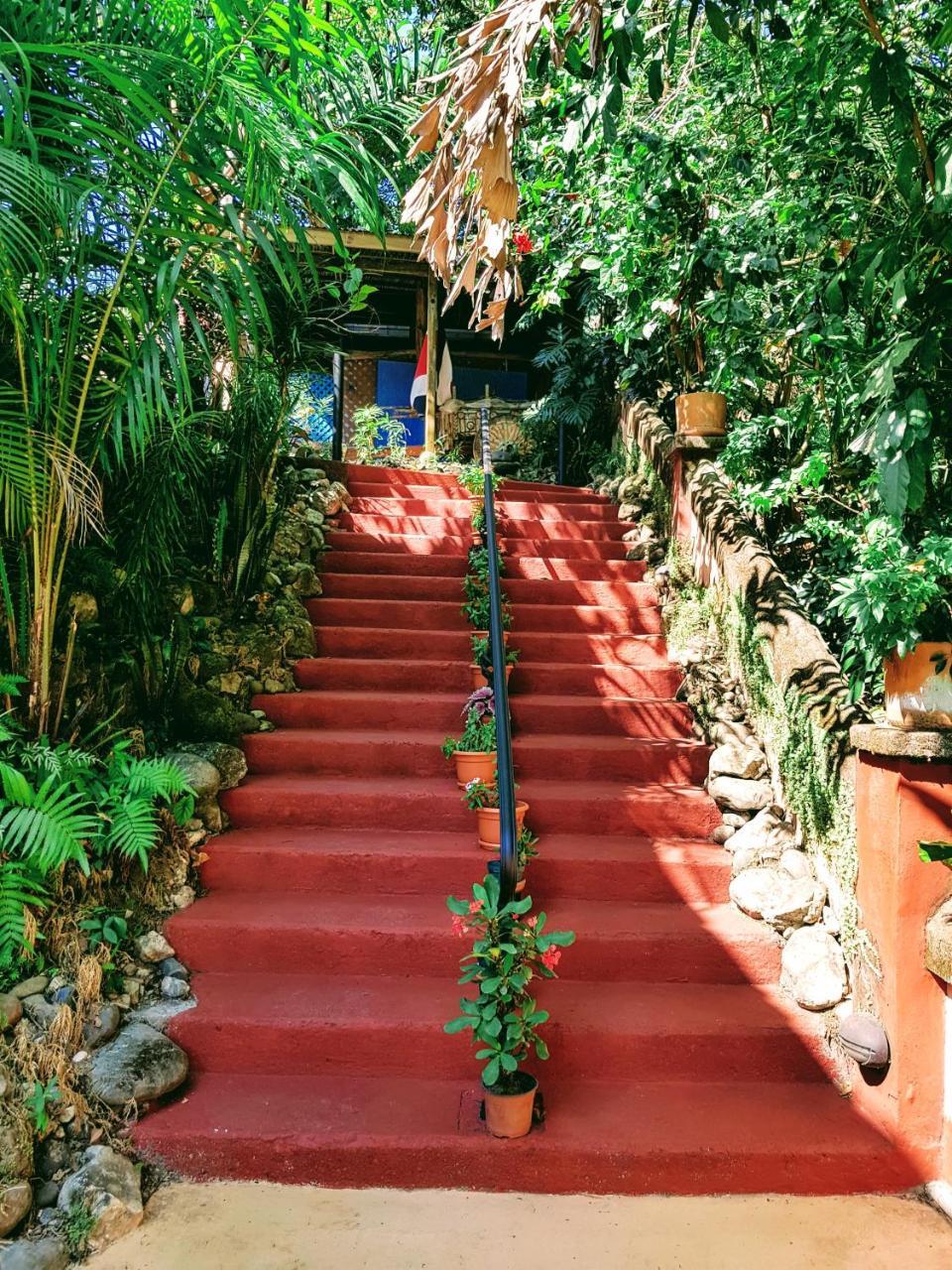 Casa Hotel Mare Nostrvm Manuel Antonio Dış mekan fotoğraf