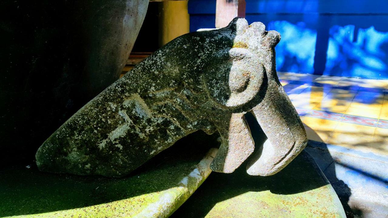 Casa Hotel Mare Nostrvm Manuel Antonio Dış mekan fotoğraf