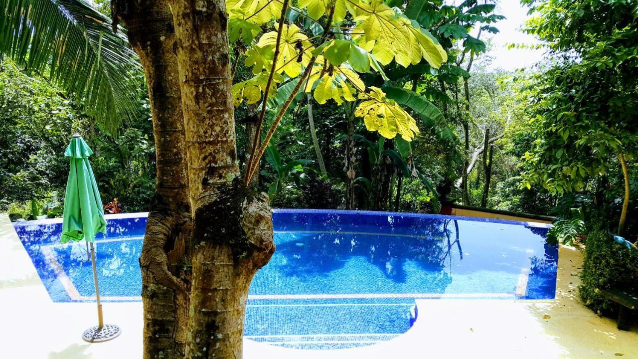 Casa Hotel Mare Nostrvm Manuel Antonio Dış mekan fotoğraf
