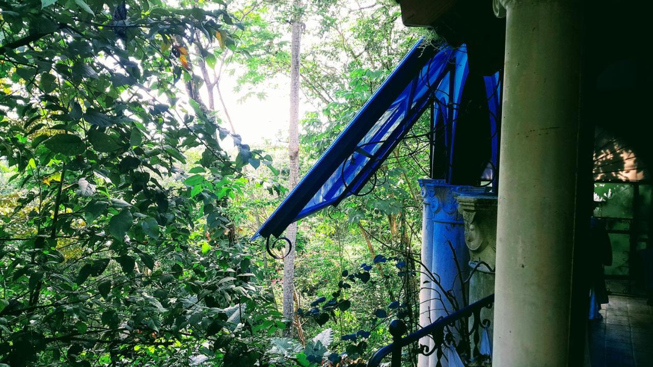 Casa Hotel Mare Nostrvm Manuel Antonio Dış mekan fotoğraf